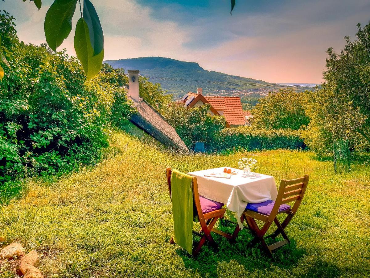 Wild Boar - Romantic Getaway * Badacsonytomaj