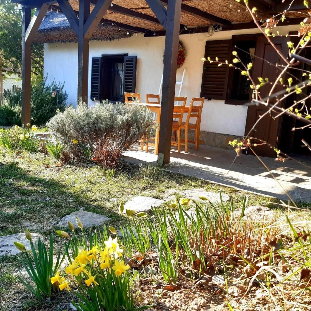 Wild Boar - Romantic Getaway Nyaraló